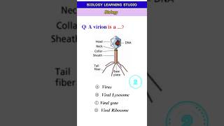 A Virion is   biology viriolvideo viralshorts fyp bio biologia neet ppsc exam [upl. by Horowitz]