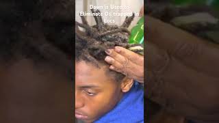 Loc Cleaned by Using Dawn Dish Soap dreadlockmachine locs dreads [upl. by Gerfen]