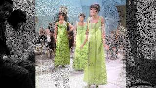 1966 HITS ARCHIVE Love Is Like An Itching In My Heart  Supremes mono [upl. by Prader]