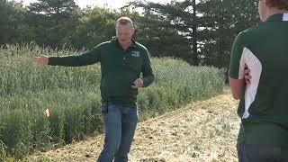 MI Wheat 2023 Summer Field Day Fusarium Head Blight Trials [upl. by Bob746]