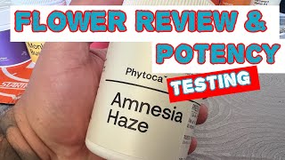 Amnesia Haze Sativa Flower  Medical Cannabis [upl. by Aisset875]