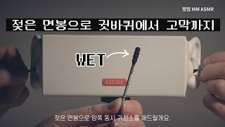 ASMR 젖은 면봉으로 귓바퀴에서 고막까지 청소해드려요양쪽 동시 Ear Cleaning with Wet QtipsBoth No Talking [upl. by Akinak502]