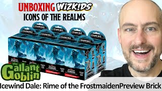 PREVIEW Unboxing Icewind Dale Rime of the Frostmaiden brick  DampD Icons of the Realms Minis [upl. by Dorette]