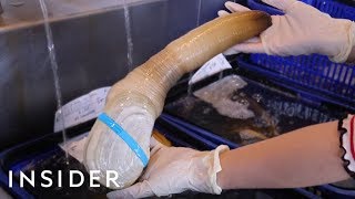 We Tried Geoduck — Worlds Biggest Burrowing Clam [upl. by Lyrpa]