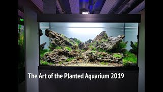 The Art of the Planted Aquarium 2019  Aquascape Contest [upl. by Larina]