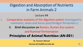 Lecture4Comparative anatomy of the digestive systemLecture Series in Animal Nutrition [upl. by Sylas]