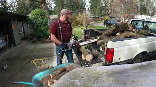 Owners review of Oregons CS1500 18 in 15 Amp SelfSharpening Corded Electric Chainsaw [upl. by Jonathan]