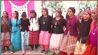 Himachali pahari latest nati  ये लागी नाटी  हिमाचली पहाड़ी नाटी  SarajiGamers [upl. by Ardnaid]