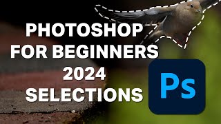 Photoshop for Beginners 2024  Lesson 4  Selections [upl. by Gefell98]