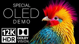 12K HDR Video ULTRA HD 120fps Dolby Vision  Special Oled Demo [upl. by Etselec]