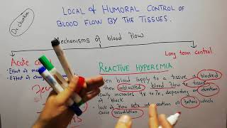 CVS physiology 98  Reactive hyperemia  Autoregulation of blood flow [upl. by Malvina]