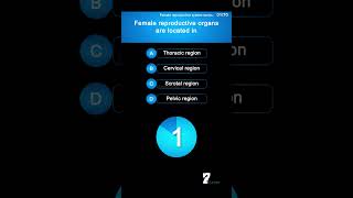 Female reproductive organs are located in biology [upl. by Nahbois]