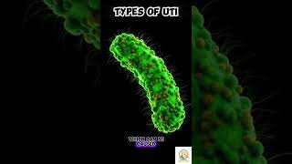 UTI Types  By Prof Ashish Baldi [upl. by Gould85]