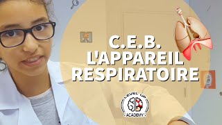 LAPPAREIL RESPIRATOIRE  CEB [upl. by Orips]