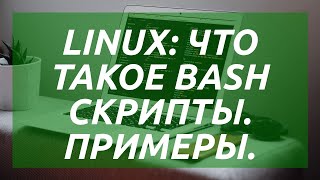 Linux что такое BASH скрипты Примеры [upl. by Havstad964]