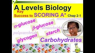 Carbohydrates Glucose Maltose Starch Glycogen  Lesson 21  YH HO [upl. by Voletta485]