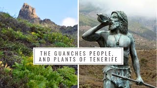 The Guanches People and Native Plants of Tenerife Canary Islands History Medicinal plants [upl. by Mintz]