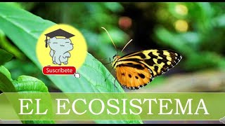 EL ECOSISTEMA [upl. by Teodoor]