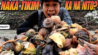 P1  Hermit Crab Catch and Cook  EP1497 [upl. by Eenor]