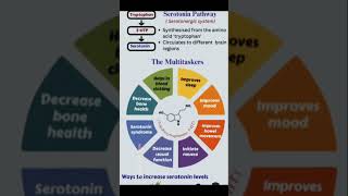 Neurophysiological Implications and Influencing Factors [upl. by Iraam612]