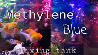 Blending of Methylene Blue  carf moly  platy amp gold fish tank [upl. by Amleht]