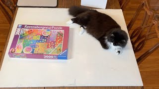 Ravensburger Puzzles on Puzzles 3000 Piece Karen Puzzle [upl. by Cortney]