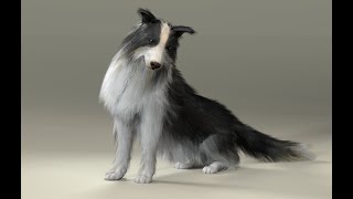 Animate a shepherd dog running with imdjsnodes [upl. by Roslyn287]