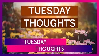 Tuesday Thoughts Funny Quotes That Will Help You Survive At Work [upl. by Linnell]