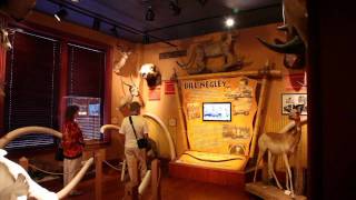 The Buckhorn Saloon amp Museum and Texas Ranger Museum Video [upl. by Con438]