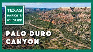 Palo Duro Canyon State Park Texas [upl. by Konyn]