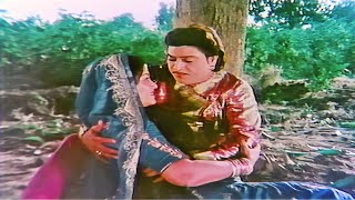 Naresh Kanodia Meets Snehlata  નરેશ કનોડિયા  સ્નેહલતા  Gujarati Movies Romantic Scene [upl. by Stark]