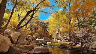 Aravaipa Canyon December 2023 [upl. by Olinad]