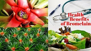 6 Unbelievable Health Benefits of Bromelain [upl. by Aila]