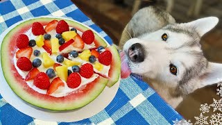 Watermelon Pizza For Dogs 🍉 DIY Dog Treats [upl. by Lesnah815]