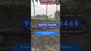 OWNER SALE  ON ROAD விவசாய நிலம் குறைந்த விலையில்  Low budget agriculture land for sale  1500 [upl. by Spark]