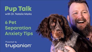 Separation Anxiety Tips for Your Puppy Trupanion Pup Talk [upl. by Zetrom]