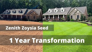 Zoysia Seed or Sod  Lawn Renovation Results  First Year Expectations [upl. by Ursuline]