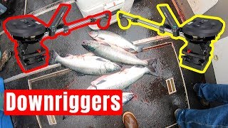 How to use Downriggers Salmon Edition [upl. by Hannis]