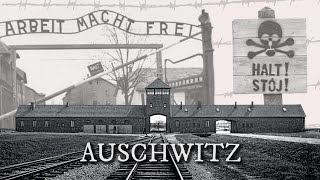 Tour of Auschwitz Extermination Camp A Profoundly Heartbreaking Experience [upl. by Adehsor]