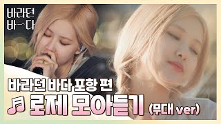 바라던 바다▶모아듣기 석양도 로제ROSÉ 앞에선 조명일 뿐 월클 로제 모아듣기무대ver 〈바라던 바다 sea of hope〉  JTBC 210803 방송 [upl. by Goggin]