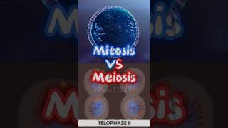 Mitosis VS Meiosis GCSE [upl. by Yelik]