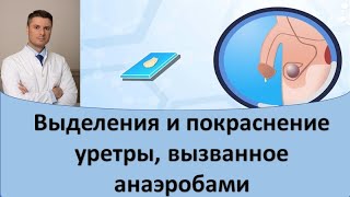 Выделения и покраснение уретры вызванные анаэробами [upl. by Mailiw695]