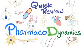 Pharmacodynamics  What the med does to your body  Quick Review  Pharmacology Lectures [upl. by Sonni]