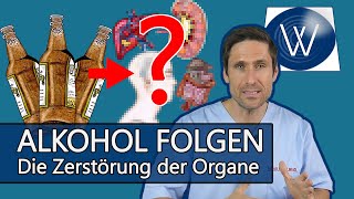 Alkohol und seine Folgen Bereits zu spät Diese Schäden entstehen an Herz Leber Hoden amp Gehirn [upl. by Kudva]