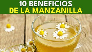 10 Beneficios Saludables de la Manzanilla  BENEFICIOS SALUDABLES [upl. by Ahcarb]