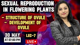 Sexual Reproduction in Flowering Plants  Structure of ovule Development of ovule [upl. by Palladin]