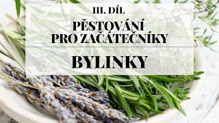 Pěstování bylinek  Pěstování pro začátečníky 3 díl [upl. by Evelc]