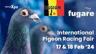 FUGARE INTERNATIONAL PIGEON RACING FAIR – KORTRIJK EXPO 17 amp 18 FEBRUARI 2024 [upl. by Sajovich]