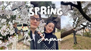 SPRING IN JAPAN  Cherry blossom vlog [upl. by Loutitia]