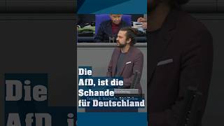 Die AfD die Schande für Deutschland afdsekte [upl. by Letnoj550]